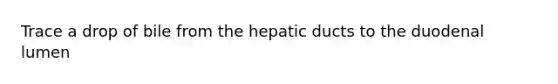 Trace a drop of bile from the hepatic ducts to the duodenal lumen