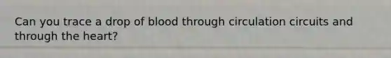 Can you trace a drop of blood through circulation circuits and through the heart?