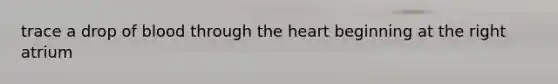 trace a drop of blood through the heart beginning at the right atrium