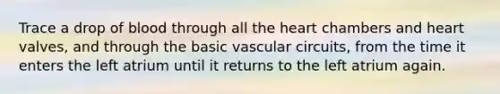 Trace a drop of blood through all <a href='https://www.questionai.com/knowledge/kya8ocqc6o-the-heart' class='anchor-knowledge'>the heart</a> chambers and heart valves, and through the basic vascular circuits, from the time it enters the left atrium until it returns to the left atrium again.