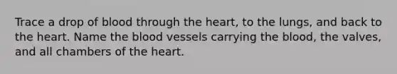 Trace a drop of blood through the heart, to the lungs, and back to the heart. Name the blood vessels carrying the blood, the valves, and all chambers of the heart.