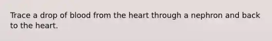 Trace a drop of blood from the heart through a nephron and back to the heart.