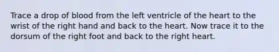 Trace a drop of blood from the left ventricle of the heart to the wrist of the right hand and back to the heart. Now trace it to the dorsum of the right foot and back to the right heart.