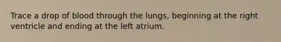 Trace a drop of blood through the lungs, beginning at the right ventricle and ending at the left atrium.