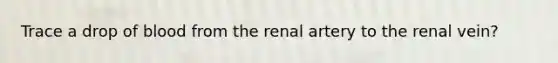 Trace a drop of blood from the renal artery to the renal vein?