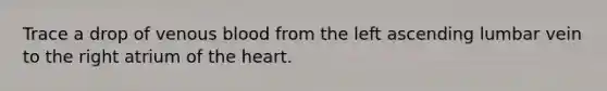 Trace a drop of venous blood from the left ascending lumbar vein to the right atrium of the heart.