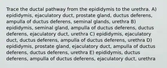 Trace the ductal pathway from the epididymis to the urethra. A) epididymis, ejaculatory duct, prostate gland, ductus deferens, ampulla of ductus deferens, seminal glands, urethra B) epididymis, seminal gland, ampulla of ductus deferens, ductus deferens, ejaculatory duct, urethra C) epididymis, ejaculatory duct, ductus deferens, ampulla of ductus deferens, urethra D) epididymis, prostate gland, ejaculatory duct, ampulla of ductus deferens, ductus deferens, urethra E) epididymis, ductus deferens, ampulla of ductus deferens, ejaculatory duct, urethra