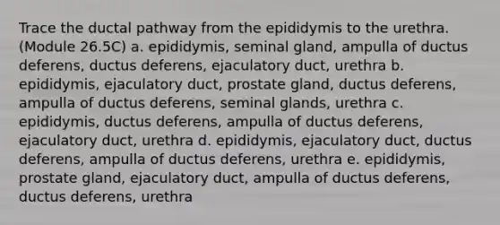 Trace the ductal pathway from the epididymis to the urethra. (Module 26.5C) a. epididymis, seminal gland, ampulla of ductus deferens, ductus deferens, ejaculatory duct, urethra b. epididymis, ejaculatory duct, prostate gland, ductus deferens, ampulla of ductus deferens, seminal glands, urethra c. epididymis, ductus deferens, ampulla of ductus deferens, ejaculatory duct, urethra d. epididymis, ejaculatory duct, ductus deferens, ampulla of ductus deferens, urethra e. epididymis, prostate gland, ejaculatory duct, ampulla of ductus deferens, ductus deferens, urethra