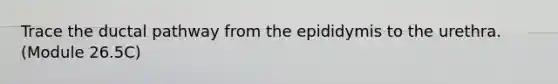Trace the ductal pathway from the epididymis to the urethra. (Module 26.5C)