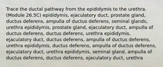 Trace the ductal pathway from the epididymis to the urethra. (Module 26.5C) epididymis, ejaculatory duct, prostate gland, ductus deferens, ampulla of ductus deferens, seminal glands, urethra epididymis, prostate gland, ejaculatory duct, ampulla of ductus deferens, ductus deferens, urethra epididymis, ejaculatory duct, ductus deferens, ampulla of ductus deferens, urethra epididymis, ductus deferens, ampulla of ductus deferens, ejaculatory duct, urethra epididymis, seminal gland, ampulla of ductus deferens, ductus deferens, ejaculatory duct, urethra