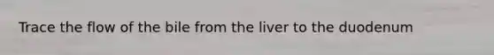 Trace the flow of the bile from the liver to the duodenum