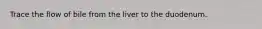 Trace the flow of bile from the liver to the duodenum.