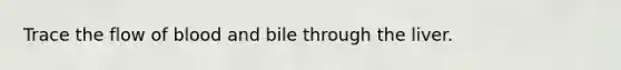 Trace the flow of blood and bile through the liver.
