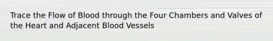 Trace the Flow of Blood through the Four Chambers and Valves of the Heart and Adjacent Blood Vessels