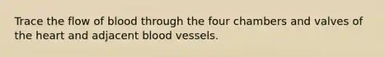 Trace the flow of blood through the four chambers and valves of the heart and adjacent blood vessels.