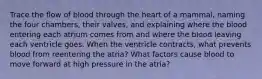 Trace the flow of blood through the heart of a mammal, naming the four chambers, their valves, and explaining where the blood entering each atrium comes from and where the blood leaving each ventricle goes. When the ventricle contracts, what prevents blood from reentering the atria? What factors cause blood to move forward at high pressure in the atria?