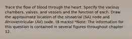 Trace the flow of blood through the heart. Specify the various chambers, valves, and vessels and the function of each. Draw the approximate location of the sinoatrial (SA) node and Atrioventricular (AV) node. (8 marks) *Note: The information for this question is contained in several figures throughout chapter 12.