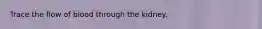 Trace the flow of blood through the kidney.