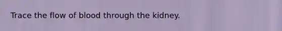 Trace the flow of blood through the kidney.