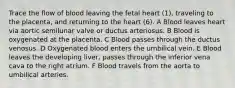 Trace the flow of blood leaving the fetal heart (1), traveling to the placenta, and returning to the heart (6). A Blood leaves heart via aortic semilunar valve or ductus arteriosus. B Blood is oxygenated at the placenta. C Blood passes through the ductus venosus. D Oxygenated blood enters the umbilical vein. E Blood leaves the developing liver, passes through the inferior vena cava to the right atrium. F Blood travels from the aorta to umbilical arteries.