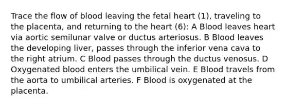 Trace the flow of blood leaving the fetal heart (1), traveling to the placenta, and returning to <a href='https://www.questionai.com/knowledge/kya8ocqc6o-the-heart' class='anchor-knowledge'>the heart</a> (6): A Blood leaves heart via aortic semilunar valve or ductus arteriosus. B Blood leaves the developing liver, passes through the inferior vena cava to the right atrium. C Blood passes through the ductus venosus. D Oxygenated blood enters the umbilical vein. E Blood travels from the aorta to umbilical arteries. F Blood is oxygenated at the placenta.