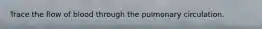 Trace the flow of blood through the pulmonary circulation.