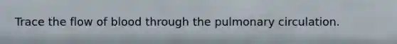 Trace the flow of blood through the pulmonary circulation.