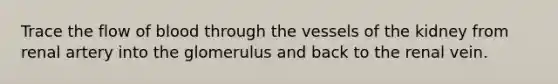 Trace the flow of blood through the vessels of the kidney from renal artery into the glomerulus and back to the renal vein.