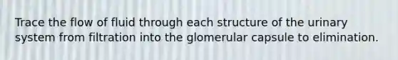 Trace the flow of fluid through each structure of the urinary system from filtration into the glomerular capsule to elimination.