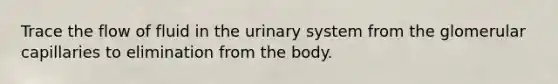 Trace the flow of fluid in the urinary system from the glomerular capillaries to elimination from the body.