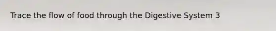 Trace the flow of food through the Digestive System 3