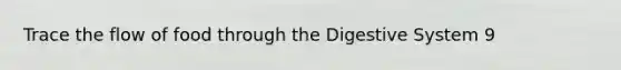 Trace the flow of food through the Digestive System 9
