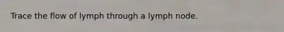 Trace the flow of lymph through a lymph node.