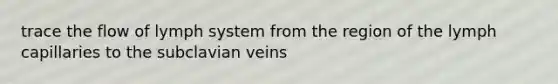 trace the flow of lymph system from the region of the lymph capillaries to the subclavian veins