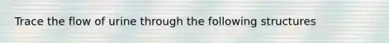 Trace the flow of urine through the following structures