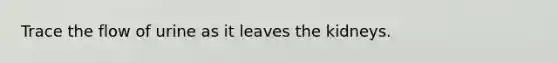 Trace the flow of urine as it leaves the kidneys.