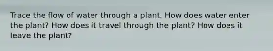 Trace the flow of water through a plant. How does water enter the plant? How does it travel through the plant? How does it leave the plant?