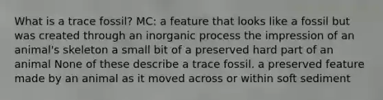 What is a trace fossil? MC: a feature that looks like a fossil but was created through an inorganic process the impression of an animal's skeleton a small bit of a preserved hard part of an animal None of these describe a trace fossil. a preserved feature made by an animal as it moved across or within soft sediment