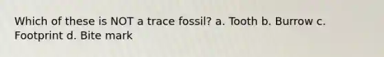 Which of these is NOT a trace fossil? a. Tooth b. Burrow c. Footprint d. Bite mark