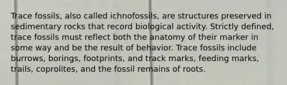 Trace fossils, also called ichnofossils, are structures preserved in sedimentary rocks that record biological activity. Strictly defined, trace fossils must reflect both the anatomy of their marker in some way and be the result of behavior. Trace fossils include burrows, borings, footprints, and track marks, feeding marks, trails, coprolites, and the fossil remains of roots.