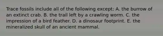 Trace fossils include all of the following except: A. the burrow of an extinct crab. B. the trail left by a crawling worm. C. the impression of a bird feather. D. a dinosaur footprint. E. the mineralized skull of an ancient mammal.