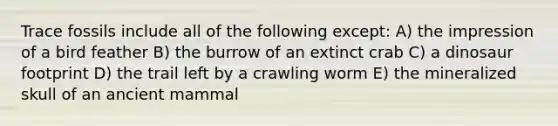 Trace fossils include all of the following except: A) the impression of a bird feather B) the burrow of an extinct crab C) a dinosaur footprint D) the trail left by a crawling worm E) the mineralized skull of an ancient mammal