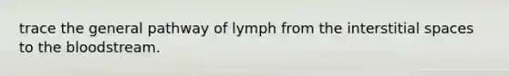 trace the general pathway of lymph from the interstitial spaces to the bloodstream.