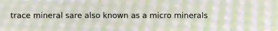trace mineral sare also known as a micro minerals