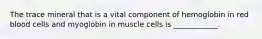 The trace mineral that is a vital component of hemoglobin in red blood cells and myoglobin in muscle cells is ____________.