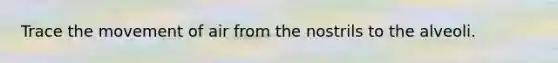 Trace the movement of air from the nostrils to the alveoli.