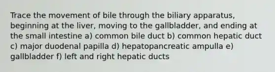 Trace the movement of bile through the biliary apparatus, beginning at the liver, moving to the gallbladder, and ending at the small intestine a) common bile duct b) common hepatic duct c) major duodenal papilla d) hepatopancreatic ampulla e) gallbladder f) left and right hepatic ducts