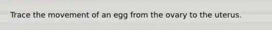Trace the movement of an egg from the ovary to the uterus.