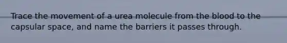 Trace the movement of a urea molecule from the blood to the capsular space, and name the barriers it passes through.