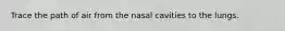 Trace the path of air from the nasal cavities to the lungs.